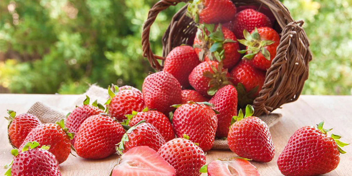 Strawberry Fields Forever: DIY Masks for Healthy Hair Growth