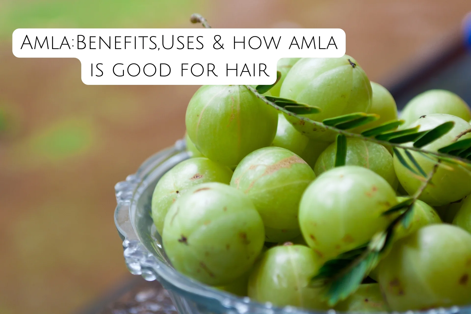 The Alchemy of Amla: Transformative Benefits for Natural Hair