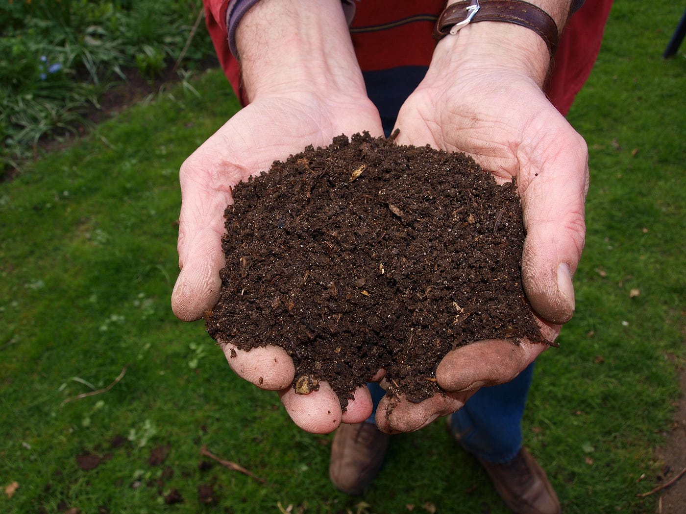 Composting Hair Waste: Transforming Trimmings into Garden Gold